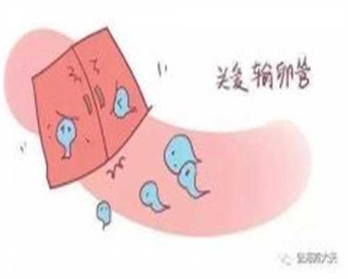 北京供卵怀孕，三代试管双胞胎，北京做供卵试管的机构